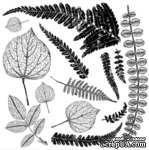 Штампы от IOD - Fronds 12x12 Decor Stamp™, 30x30 см - ScrapUA.com