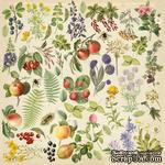 Лист с картинками для вырезания Summer botanical diary 30,5х30,5 см, ТМ Фабрика Декора - ScrapUA.com