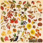 Лист с картинками для вырезания Autumn botanical diary 30,5х30,5 см, ТМ Фабрика Декора. - ScrapUA.com