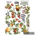 Набор наклеек (стикеров) 17 шт Summer botanical diary  191, ТМ Фабрика Декора - ScrapUA.com