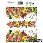 Набор наклеек (стикеров) 3 шт Botany exotic 201, ТМ Фабрика Декора - ScrapUA.com