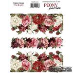 Набор наклеек (стикеров) 3 шт Peony passion 218, ТМ Фабрика Декора - ScrapUA.com