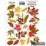 Набор наклеек (стикеров) 22 шт Autumn botanical diary 224, ТМ Фабрика Декора. - ScrapUA.com