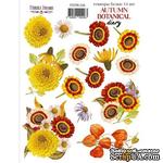 Набор наклеек (стикеров) 14 шт Autumn botanical diary 226, ТМ Фабрика Декора. - ScrapUA.com