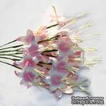Гладиолусы, цвет бело-розовый, 25 мм, 5 шт.  - ScrapUA.com