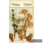 Набор объемных цветов Petaloo - FloralEphemera - Amber - ScrapUA.com