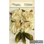 Набор объемных цветов Petaloo - Botanica Blooms x 4 - All Ivory - ScrapUA.com