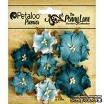 Набор объемных цветов (диких роз) Petaloo - Penny Lane Mini Wild Roses x7 - Teal - ScrapUA.com