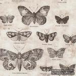 Ткань 100% хлопок - Tim Holtz Eclectic - Butterflies-Taupe, 45х55 см - ScrapUA.com