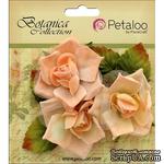 Набор цветов Petaloo - Botanica Fairy Rose Bud - Peach - ScrapUA.com