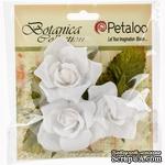 Набор цветов Petaloo - Botanica Fairy Roses - White - ScrapUA.com