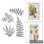 Нож для вырубки от Spellbinders - Ferns - ScrapUA.com