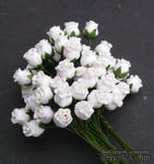 Буточники розы, цвет белый, диаметр - 8-10мм, 5 шт. - ScrapUA.com