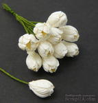 Тюльпан, цвет белый, диаметр - 10мм, 10 шт. - ScrapUA.com