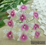 Орхидеи, цвет белый с нежно-розовым, размер - 22х30мм, 5 шт. - ScrapUA.com