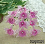 Орхидеи, цвет нежно-розовый с розовым, размер - 22х30мм, 5 шт. - ScrapUA.com