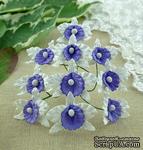 Орхидеи маленькие, цвет белый с фиолетовым, 22х30мм, 5 шт. - ScrapUA.com