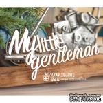 Чипборд ScrapBox - My little gentlman Hi-397 - ScrapUA.com