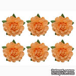 Цветы чайной розы, диаметр -18 мм, 6 шт., бежевые - ScrapUA.com