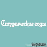 Чипборд от Вензелик - С надписью &quot;Студенческие годы&quot;, размер: 21x129 мм - ScrapUA.com