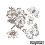 Набор лезвий с штампиками от Sizzix - Framelits Die Set w/Stamp - Butterflies, 5 шт - ScrapUA.com