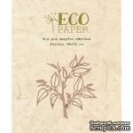 Нож для вырубки от EcoPaper &quot;Ветви&quot; - ScrapUA.com