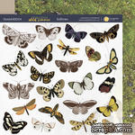 Лист двусторонней бумаги 20х20см Бабочки Herbarium Wild summer от Scrapmir - ScrapUA.com